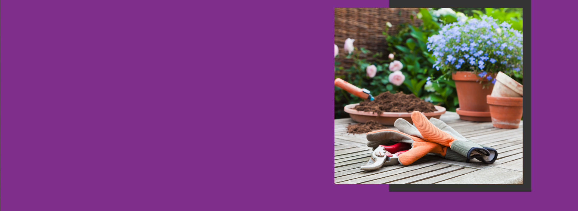 image of gardening gloves laying on a garden table with plants in the background on top of a purple background