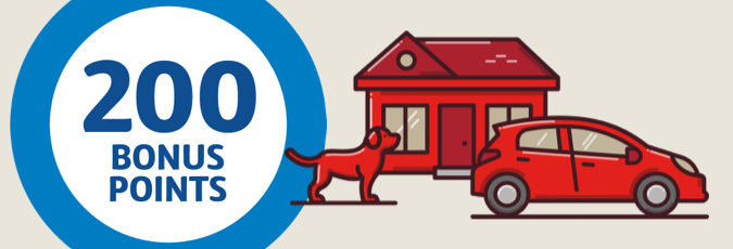 Coles Insurance