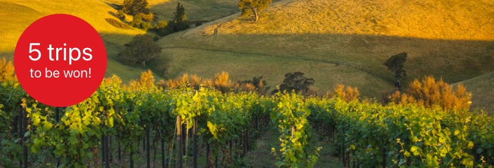 5 trips to be won to Barossa Valley Barossa Valley with 5 trips to be won roundel