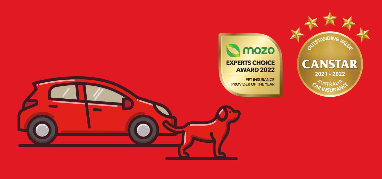 A red car and a red dog set against a red background